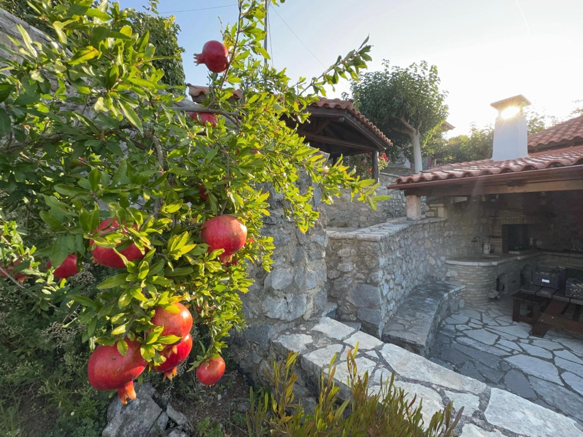 Terra Petra Villa At Psari Trikolonon Gortynia Psárion Zewnętrze zdjęcie